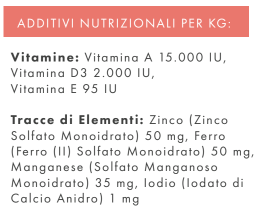 CANE - Crocchetta GRAIN FREE - ADULTO taglia MEDIA/GRANDE - SALMONE TROTA PATATE DOLCI e ASPARAGI