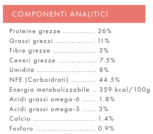 CANE - Crocchetta GRAIN FREE - ADULTO taglia MEDIA/GRANDE - SALMONE TROTA PATATE DOLCI e ASPARAGI