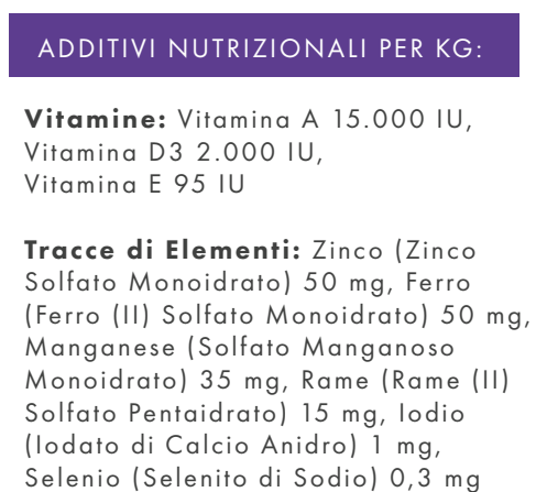 CANE - Crocchetta GRAIN FREE - ADULTO taglia MEDIA/GRANDE - ANATRA PATATE DOLCI e ARANCIA