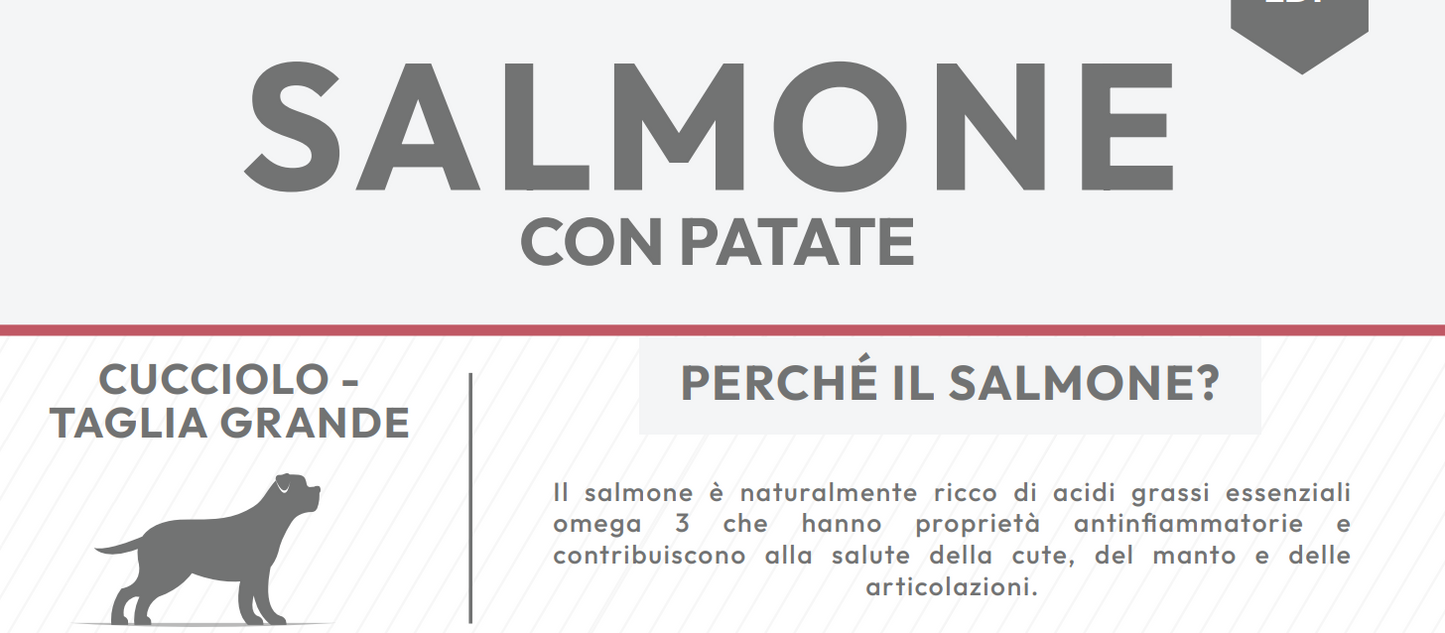 Crocchetta SUPER PREMIUM - CUCCIOLO taglia MEDIA/GRANDE - SAMONE e PATATE
