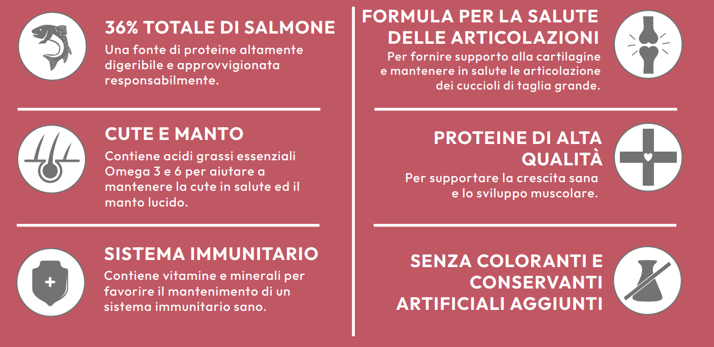 Crocchetta SUPER PREMIUM - CUCCIOLO taglia MEDIA/GRANDE - SAMONE e PATATE