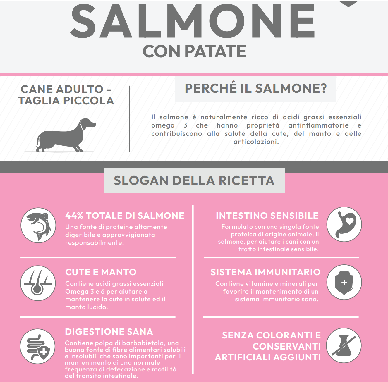 Crocchetta SUPER PREMIUM - ADULTO taglia PICCOLA - SALMONE e PATATE