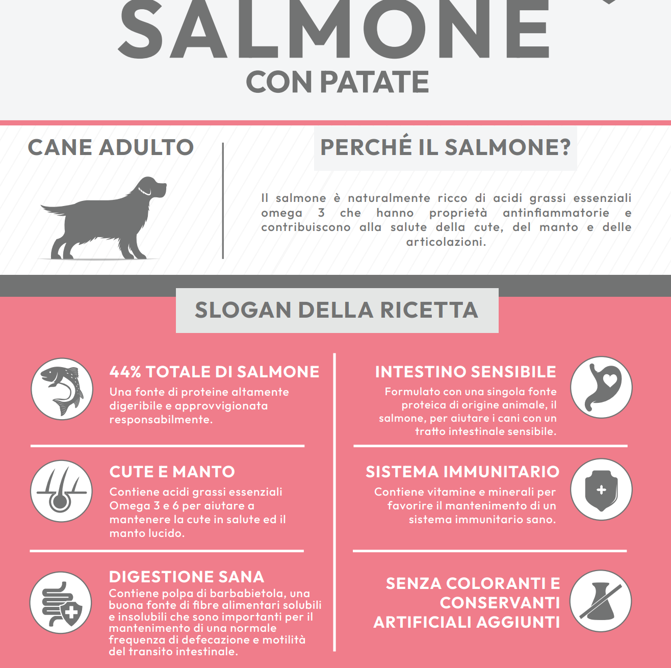 CANE - Crocchetta SUPER PREMIUM - ADULTO taglia MEDIA/GRANDE - SALMONE e PATATE